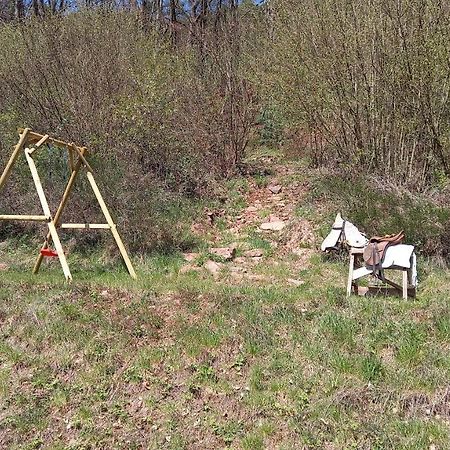 Ferienwohnung Sonnenhang Rudenau Zewnętrze zdjęcie