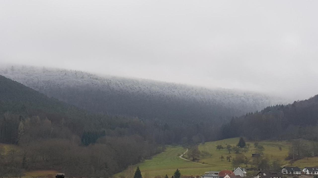 Ferienwohnung Sonnenhang Rudenau Zewnętrze zdjęcie